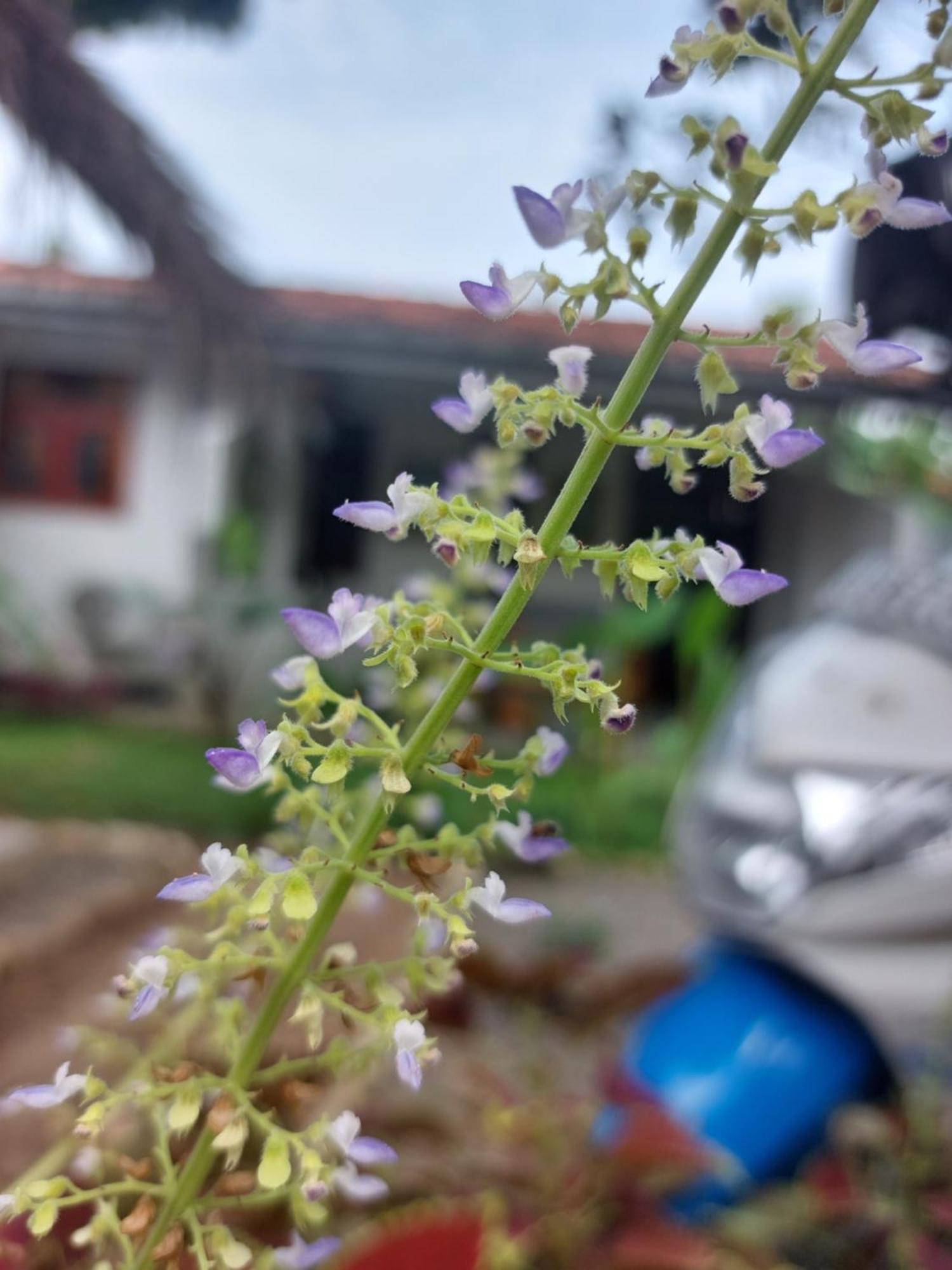 Cosynsurf Bed & Breakfast Matara Bagian luar foto